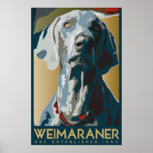 Nación de Weimaraner: AKC Weimaraner Impresiones