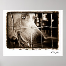 Nación de Weimaraner ""en impresión de la puerta" Impresiones