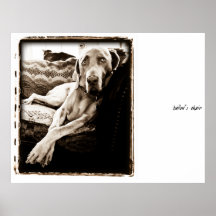 Nación de Weimaraner: La "silla de Ballou " Poster