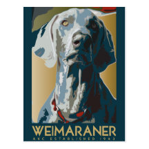 Nación de Weimaraner: Weimaraner 1943 Tarjeta Postal