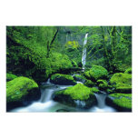 Nacional 3 de los E.E.U.U., Oregon, garganta del r Fotografias