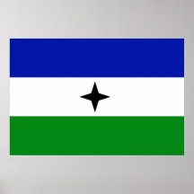 Nacionalista de Bubi, bandera de El Salvador Posters