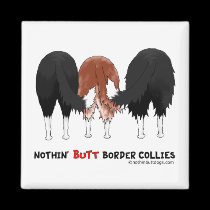 Nada empalma borderes collies imanes