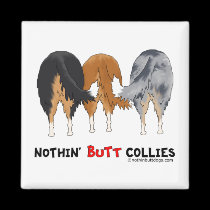 Nada empalma collies imanes