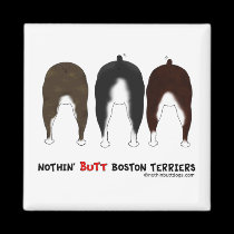 Nada empalma los terrieres de Boston imanes