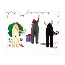 Nada empalma navidad afgano tarjetas postales