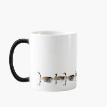 Nadada de los gansos alrededor de su taza tazas