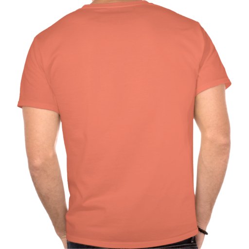 nagel 07-08 - Modificado para requisitos particula Camisetas