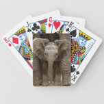 Naipes del elefante del bebé