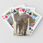 Naipes jovenes del elefante del bebé