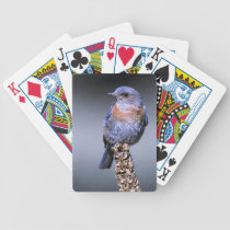 Naipes occidentales del Bluebird cartas de juego