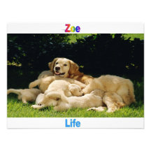 Names&Meanings - Zoe Invitaciones Personalizada
