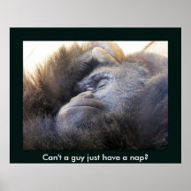Naptime Impresiones