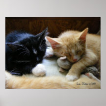 "Naptime " Poster