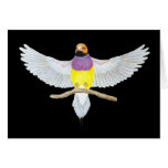 Naranja-cabeza Gouldian - gouldiae de Erythrura Felicitación