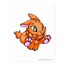 Naranja de Cybunny Postales