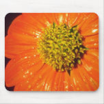 Naranja después de las flores de la lluvia tapete de ratón