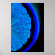 Naranja en azul poster