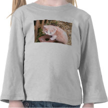 ¿Naranja usted alegre soy el suyo? Camiseta