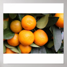 Naranjas Poster