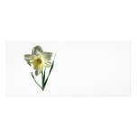 Narciso blanco lonas personalizadas