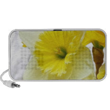 Narciso blanco y amarillo iPod altavoz