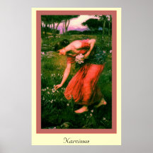 Narciso Impresiones