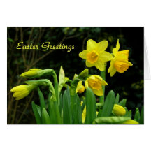 Narcisos 1 tarjetón