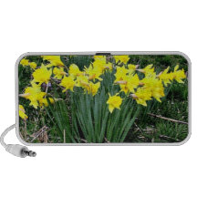 Narcisos amarillos que florecen en un día soleado sistema altavoz