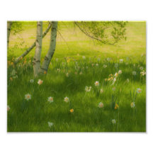 Narcisos de la primavera arte fotográfico