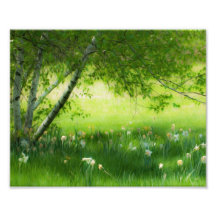 Narcisos de la primavera impresión fotográfica
