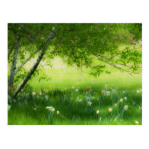 Narcisos de la primavera tarjetas postales