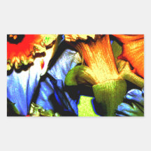 Narcisos de neón rectangular altavoces