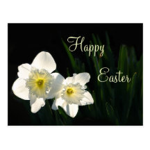 Narcisos de Pascua Postal