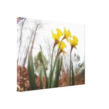 Narcisos del bosque impresiones en lona