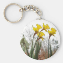 Narcisos del bosque llavero