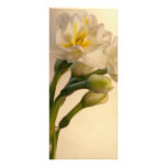 Narcisos dobles blancos que casan programa tarjetas publicitarias personalizadas