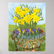 Narcisos Impresiones