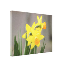 Narcisos preciosos de la primavera impresion de lienzo