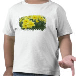 Narcisos RF) Camisetas