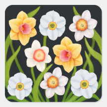 Narcisos y flores del narciso calcomania cuadradas personalizada