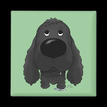 Nariz grande cocker spaniel imanes