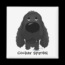 Nariz grande cocker spaniel imanes