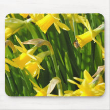 Narzissen Mousepads