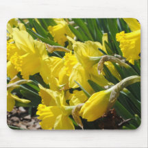Narzissen Mousepads