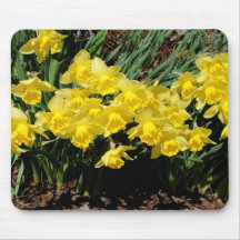Narzissen Mousepads
