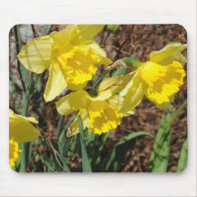 Narzissen Mousepads