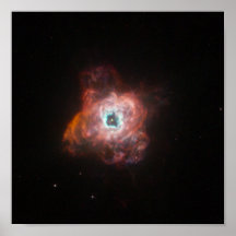 NASA - Cartera de la nebulosa NGC5315 Poster