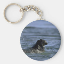 Natación del sello de elefante llaveros