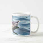 Natación femenina del pato del pato silvestre tazas de café